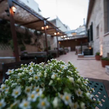 Hotel Ibiscos Hotel